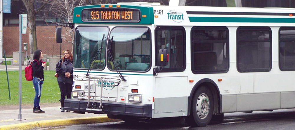 buses2